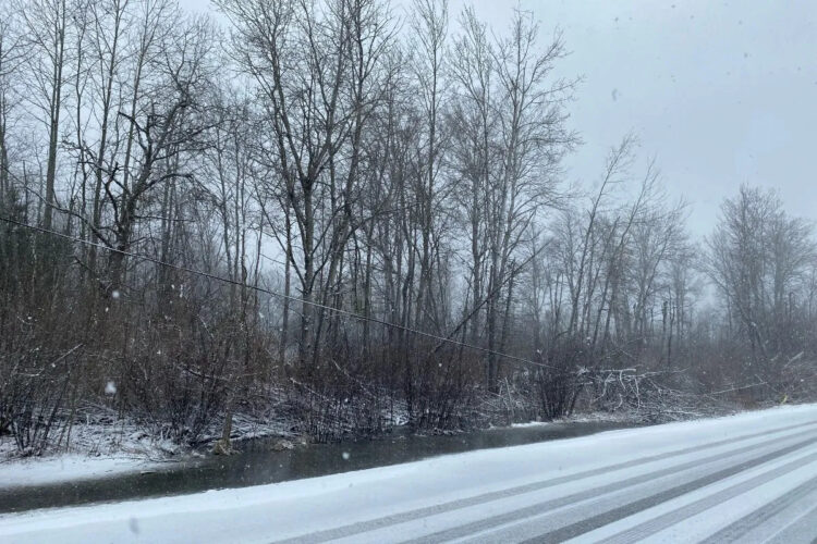 Year later, residents recall ice storm that slammed northern Michigan